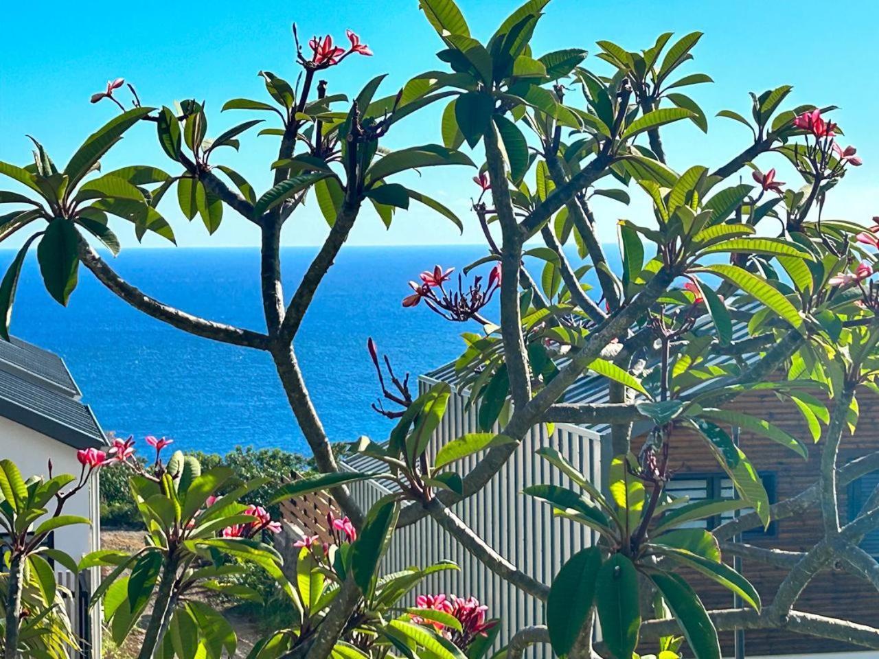 شقة Le Reve Bleu Grand Anse Petite Île المظهر الخارجي الصورة